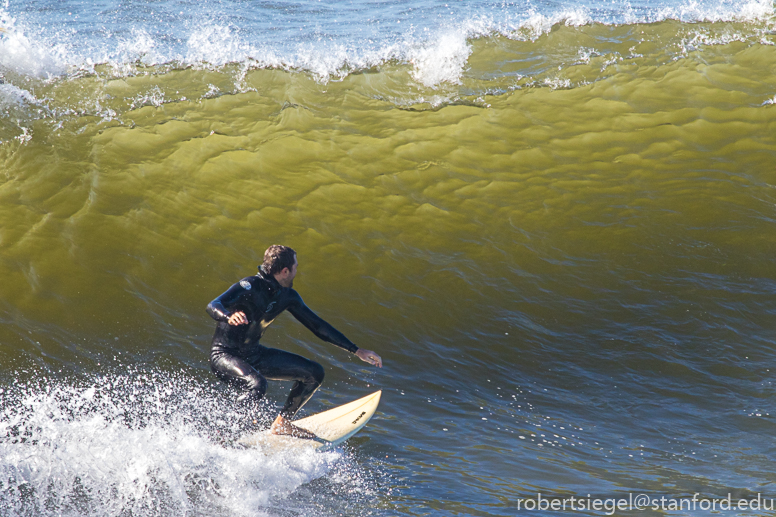 santa cruz, surfer